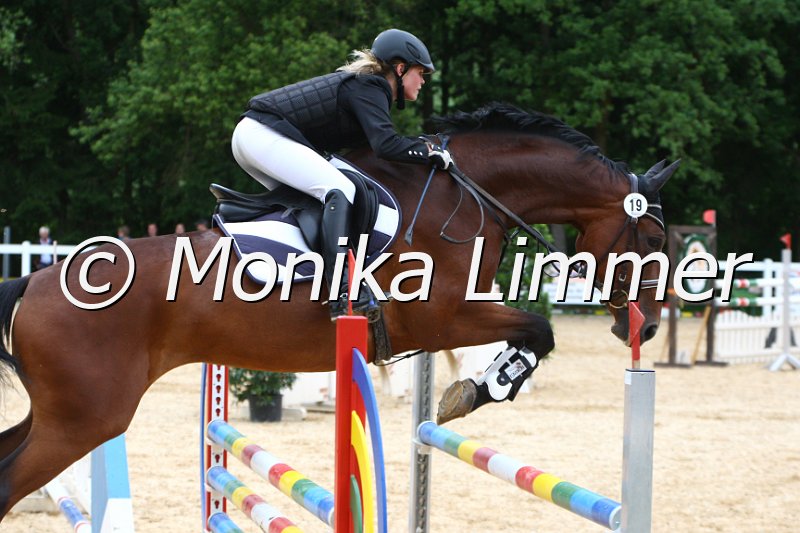 006M7903_Spring M.JPG